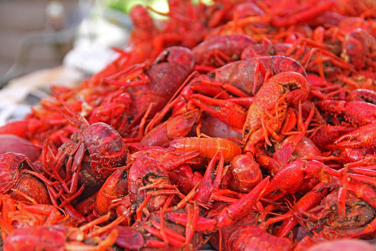 crawfish, mud bugs, south, louisiana, new orleans, food, baton rouge, potato, corn, lobster, red food, red news, red new, crawfish, crawfish, crawfish, crawfish, crawfish